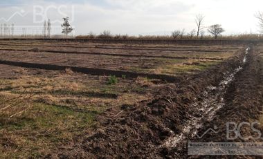 Finca en  Media Agua