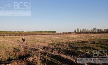 Finca en  Media Agua
