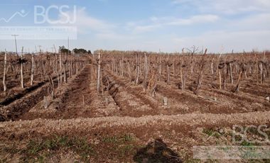 Finca en  Media Agua