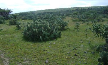 RANCHO GANADERO EN VENTA  CERCA DE COLÓN QUERÉTARO