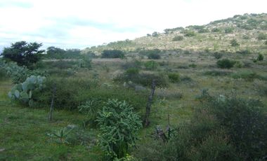 RANCHO GANADERO EN VENTA  CERCA DE COLÓN QUERÉTARO