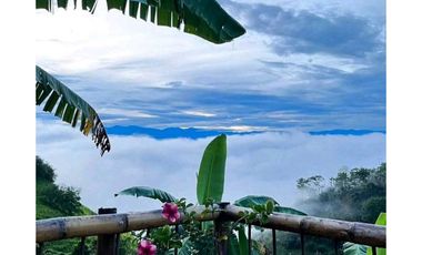VENTA DE FINCA AGROTURISTICA BALBOA RISARALDA