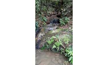 VENTA DE FINCA AGROTURISTICA BALBOA RISARALDA