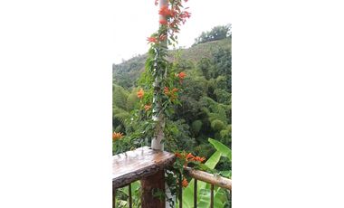 VENTA DE FINCA AGROTURISTICA BALBOA RISARALDA