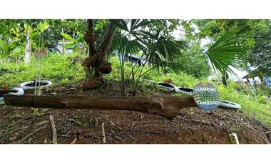 VENTA DE FINCA AGROTURISTICA BALBOA RISARALDA
