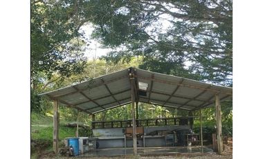 RENTO FINCA DE PRODUCCIÓN CAFETERA EN BOYAC