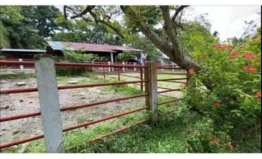 VENDO FINCA GANADERA 178 CUADRAS PTO SALGAR