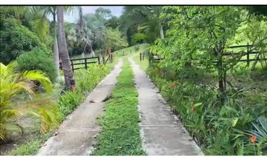 VENDO FINCA GANADERA 178 CUADRAS PTO SALGAR