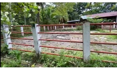 VENDO FINCA GANADERA 178 CUADRAS PTO SALGAR