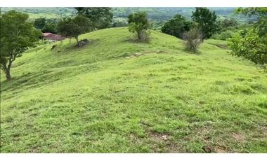 VENDO FINCA GANADERA 178 CUADRAS PTO SALGAR