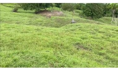 VENDO FINCA GANADERA 178 CUADRAS PTO SALGAR