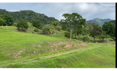 VENDO FINCA GANADERA 178 CUADRAS PTO SALGAR