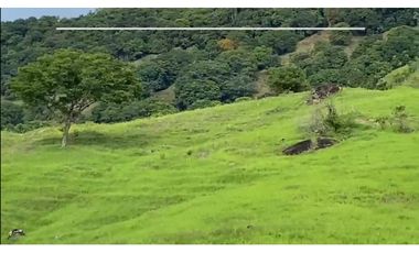 VENDO FINCA GANADERA 178 CUADRAS PTO SALGAR