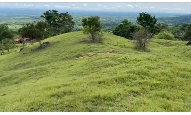 VENDO FINCA GANADERA 178 CUADRAS PTO SALGAR