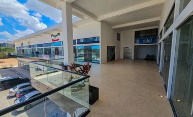 Local Comercial · Renta · Av. Prol. La Luna · Huayacán · Doble Altura · Bulan