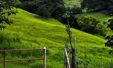 Finca Venta Obando Valle