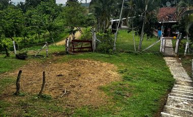 Finca Venta Obando Valle