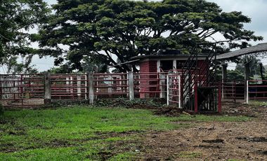 Finca Venta Obando Valle