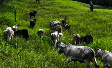 Finca Venta Obando Valle