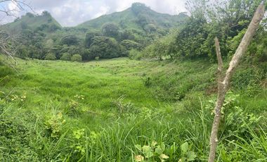 Finca Venta Obando Valle