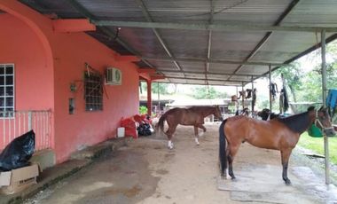 VENTA DE TERRENO EN TONOS ALTOS DEL GUERA