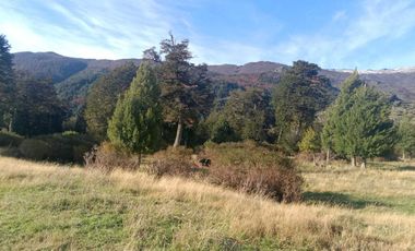 Parcela en venta  en RÍO IBAÑEZ