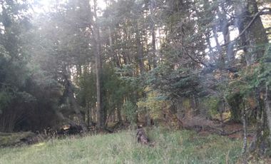 Parcela en venta  en RÍO IBAÑEZ