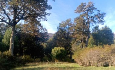 Parcela en venta  en RÍO IBAÑEZ
