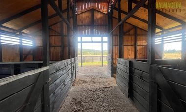 Parcela en Venta en Loncotoro, con Caballerizas