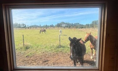 Parcela en Venta en Loncotoro, con Caballerizas