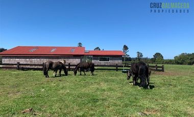 Parcela en Venta en Loncotoro, con Caballerizas