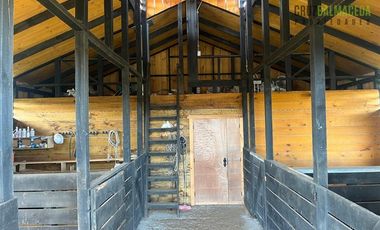 Parcela en Venta en Loncotoro, con Caballerizas