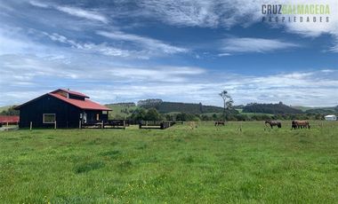 Parcela en Venta en Loncotoro, con Caballerizas