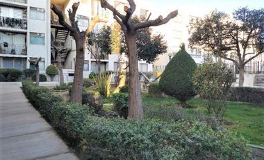 Departamento en Arriendo en San Alberto Hurtado  Los Florines