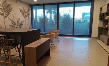 Departamento en Arriendo en Rinconada 4650