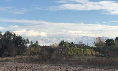 Alquiler de Terreno de 1 ha en Russell, Maipú