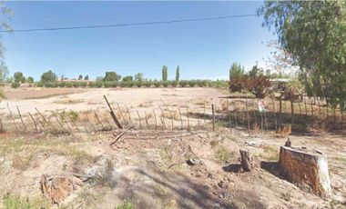 Alquiler de Terreno de 1 ha en Russell, Maipú