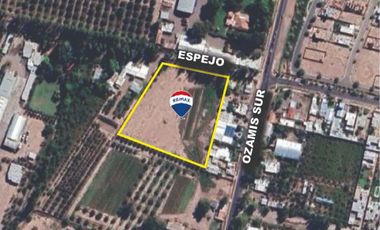 Alquiler de Terreno de 1 ha en Russell, Maipú