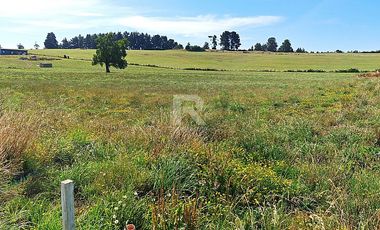 PARCELAS EN LÍNEA NUEVA, VISTA VOLCANES A SÓLO 5KM DE CENTRO