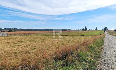 PARCELAS EN LÍNEA NUEVA, VISTA VOLCANES A SÓLO 5KM DE CENTRO
