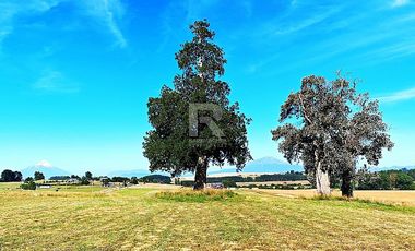 PARCELAS EN LÍNEA NUEVA, VISTA VOLCANES A SÓLO 5KM DE CENTRO