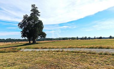 PARCELAS EN LÍNEA NUEVA, VISTA VOLCANES A SÓLO 5KM DE CENTRO