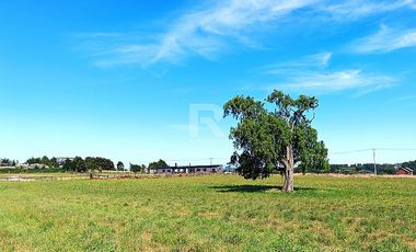 PARCELAS EN LÍNEA NUEVA, VISTA VOLCANES A SÓLO 5KM DE CENTRO