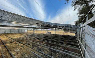 Rancho con Invernadero en Renta en Atequiza Ixtlahuacan de los Membrillos
