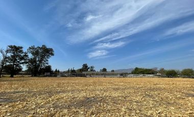 Rancho con Invernadero en Renta en Atequiza Ixtlahuacan de los Membrillos