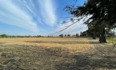 Rancho con Invernadero en Renta en Atequiza Ixtlahuacan de los Membrillos