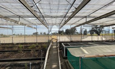 Rancho con Invernadero en Renta en Atequiza Ixtlahuacan de los Membrillos