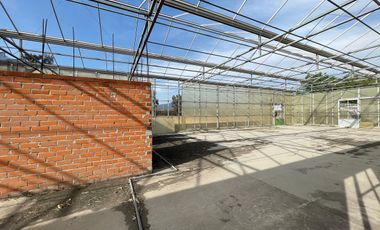 Rancho con Invernadero en Renta en Atequiza Ixtlahuacan de los Membrillos