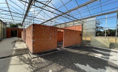 Rancho con Invernadero en Renta en Atequiza Ixtlahuacan de los Membrillos