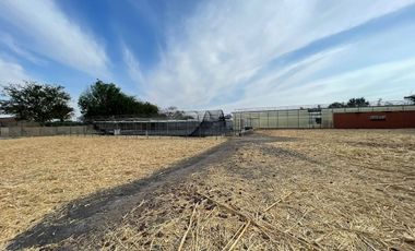 Rancho con Invernadero en Renta en Atequiza Ixtlahuacan de los Membrillos